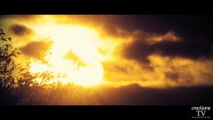 I hold you par CLANN