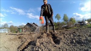 Кормовая свекла, тяпка и чертилка // Лесной муравей - что делать? // Жизнь в деревне