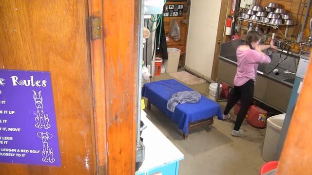 Arena kennels feedings Steve Tom Liv Bugs Harper Walter Lainie 4122018 смотреть онлайн