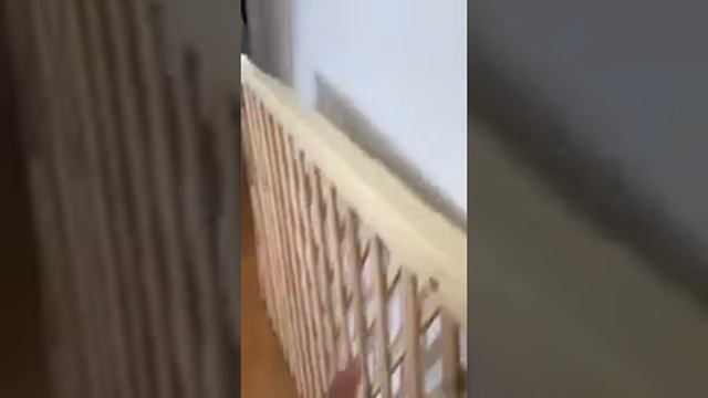 Evenflo Expansion Walk Thru Room Divider Gate смотреть онлайн