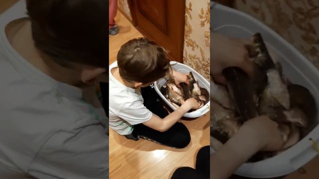 🐟🐠🐡 Открыли сезон рыбалки. Карасики. На рыбалку за карасями. смотреть онлайн