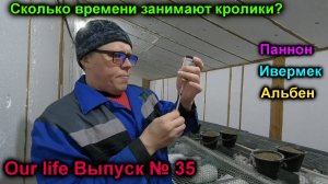 Сколько времени трачу на кроликов. Пропойка паннона. Ивермек для кроликов. Альбент для крольчат.