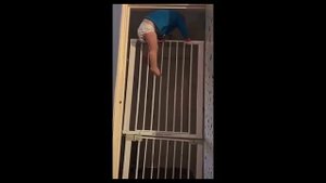 Мал да удал ? перелез через решетку