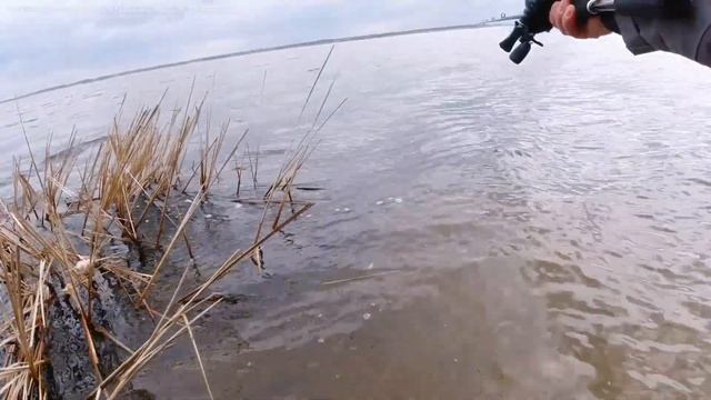 Piscifun Carbon XCS тестируем дальность заброса смотреть онлайн