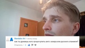 Вопросы и ответы о породе кокер спаниель