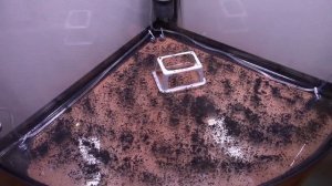 Рождение нового аквариума, запуск по системе Takashi Amano