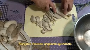 ВЕШЕНКИ ЖАРЕНЫЕ С КАРТОФЕЛЕМ "ОБЪЕДЕНИЕ"!