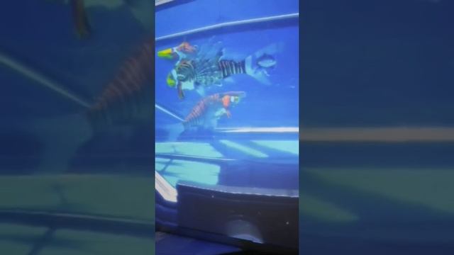 Океан Юрского периода в Москвариуме на ВДНХ