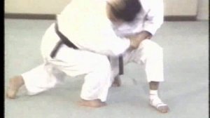 Суть Вадо рю Каратэ Ч.1