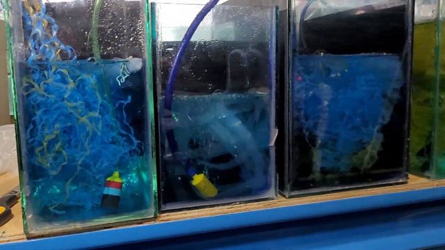 В гостях у Алексея город Владивосток. смотреть онлайн