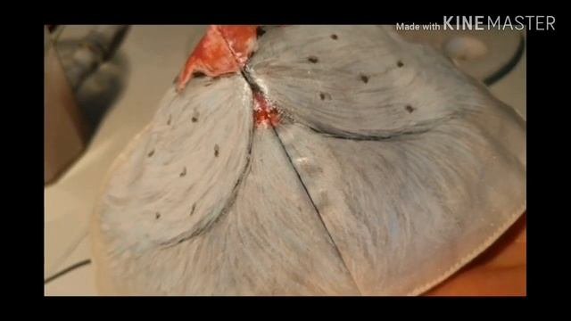 Unique Make mask for face with cat mustache. РИСУНОК НА МАСКЕ ДЛЯ ЛИЦА. КОШАЧЬИ УСИКИ.