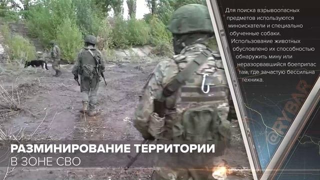 Боевая работа инженерно-саперной группы в зоне СВО