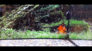 Спят усталые игрушки - Спокойной ночи, малыши