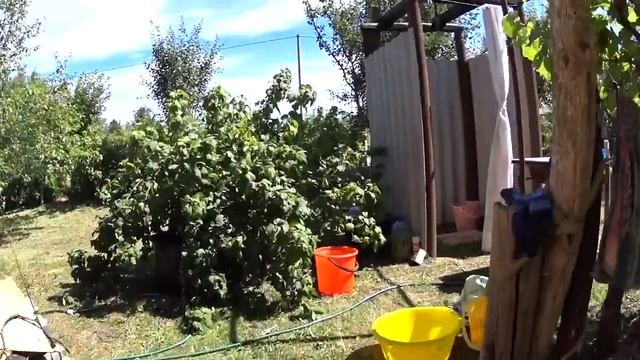 Саша строит.Таня готовит. VLOG. Брест смотреть онлайн