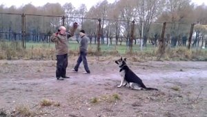 Обучение конвоированию.( ЗКС )Ол Гранд