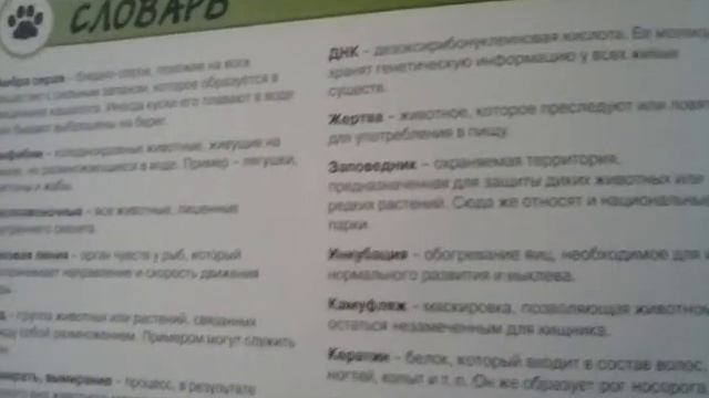 Словарь слов