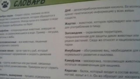 Словарь слов