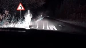 Ведьма вуду