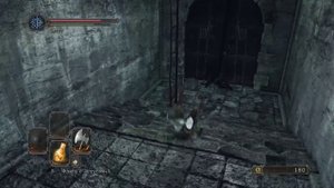 #9 Забытая Крепость. Стражи Руин [Dark Souls 2 SotFS PS4]