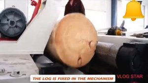 Производство фанеры от бревна до листа #фанера #бревно #производство #usa   #станок #резак