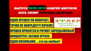 99. СЛОЖНАЯ СУДЬБА ОДНОГО МИЛОГО ОРЕШКА. ОН ХОЧЕТ В ТВОЙ РОТ! ТЫ ЛЮБИШЬ ЕГО. НО ВЗАИМНО ЛИ ЭТО?