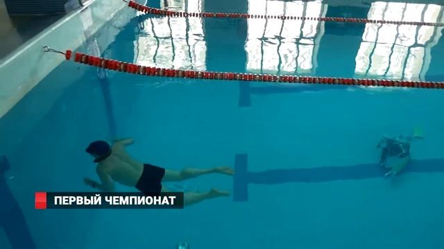Первый открытый чемпионат по фридайвингу прошел во Владивостоке смотреть онлайн
