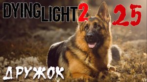 Dying Light 2 Stay Human ПРОХОЖДЕНИЕ НА РУССКОМ #25 Дружок