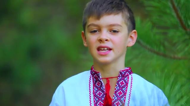 Тимур Оленич в телевизионном проекте Будь звездой! (5 сезон) Червона рута