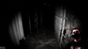 INSOMNIS EXPERIMENT ► КАК ПОЯВИЛСЯ СКРОМНИК