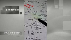 Билирубин и Синдром Жильбера. Наталья Кондакова, доктор натуропатии