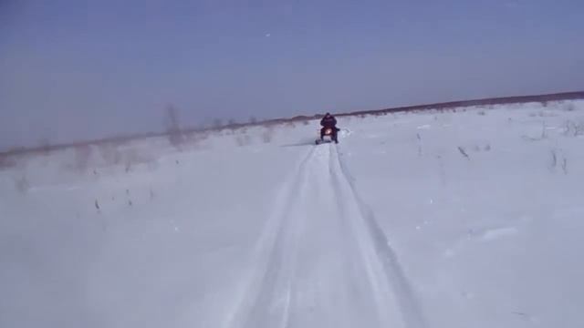 Динго Т125 на Васюгане смотреть онлайн