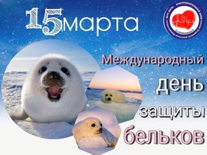 Международный день защиты бельков