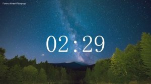 Обратный отсчет Таймер 5 минут. Звуки живой природы / Countdown. Timer 5 min. #ГолосаЖивойПрироды