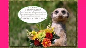 Поздравления с днем рождения Светлане.