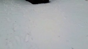 Проводка Т 150 .|самодельная стрела и гидро пресс