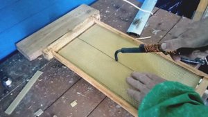 Как правильно вощить рамки. Ошибки молодых пчеловодов.