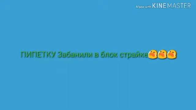 ПИПЕТКУ ЗАБАНИЛИ В БЛОК СТРАЙК:( - ПОДДЕРЖКА КАНАЛА П И П Е Т К А (-_-The Crazy Cat-_-) смотреть онлайн