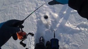 Ловля судака в глухозимье р.Сылва практик 8