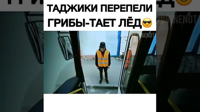 Перепели песню тает лёд смотреть онлайн