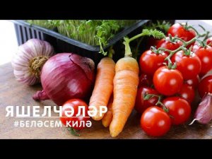 БЕЛӘСЕМ КИЛӘ: Яшелчәләр / Овощи / Vegetables