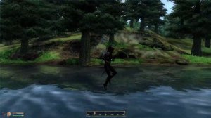 The Elder Scrolls IV: Oblivion - Human Skipping Stone