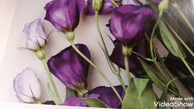 Нашла почти забытые детские потешки/детский фольклор.