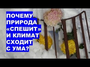 Почему Природа "спешит" и климат сходит с ума?What is climate change related to and why is the weath