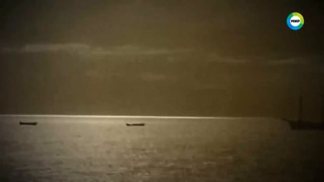 Опыты по скрещиванию человека с обезьяной