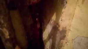 Три хомута!