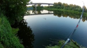 Ловля белой рыбы на реке Сура. Летняя рыбалка.Фидер.Донная ловля рыбы.