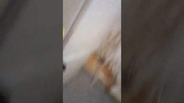 Лайфак. DIY. Как недорого приготовить вкусную еду.НЕ ПЛАГИАТ СЛИВКИ ШОУ смотреть онлайн