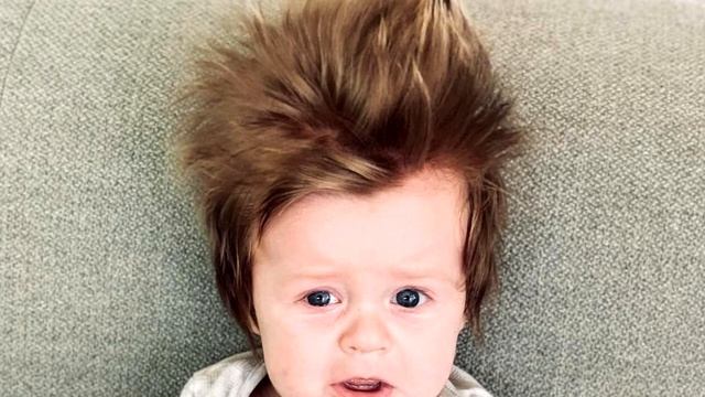 Аномально лохматый малыш из Австралии стал любимцем в соцсетях смотреть онлайн