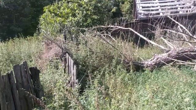 Заброшенная деревня посреди леса. смотреть онлайн