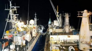 Работа в море. СРТМ "Тари". Берингово море.